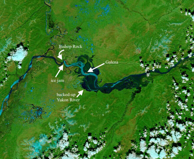 NASAs Terra satellite captured this image of the flooded Yukon River on May 28, 2013. An ice jam at Bishop Rock backed water into the village of Galena, swamping much of the town with 7 feet of water for several days. (NASA image courtesy LANCE MODIS Rapid Response)