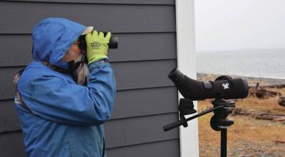 Kachemak Bay Birders member Gary Lyon watches for birds near the Lands End Resort condos on the Homer Spit Dec. 21, 2024. The Kachemak Bay Birders will meet at 7 a.m. Sunday, May 31 at the Dipper Bridge pull-out area on the North Fork Road about 2 miles in from the Homer (south) end of the loop. (Delcenia Cosman/Homer News File)