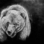 Photo provided by the artist
Brown Bear, a graphite and charcoal work by Homer artist Cole Rickert, is on exhibit at Grace Ridge Brewing through June.
