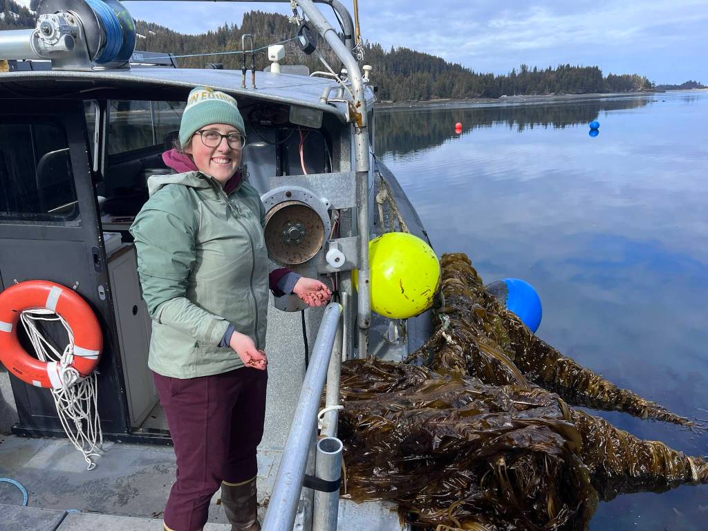 Alaska study sees mixed results on links between kelp farms and CO2 levels