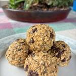 Try making a double or triple batch and storing the balls in the freezer for a quick and delicious addition to lunchboxes and beach picnic bags. (Photo by Tressa Dale)